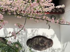 -棠湖公园
