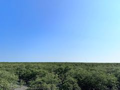 -北海金海湾红树林生态旅游区