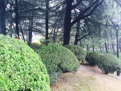 -上海市龙华烈士陵园