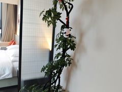 -重庆观音桥华美达安可酒店