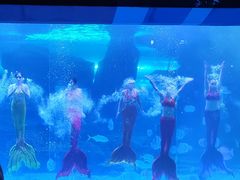 -泉城欧乐堡海洋极地世界