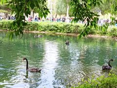 -长白岛森林公园