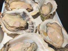 -乔街深夜食堂·台州菜·高压锅生蚝(杭州总店)