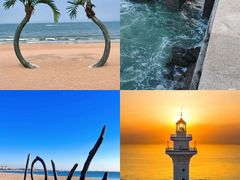 -日照海滨国家森林公园