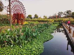 -那考河湿地公园