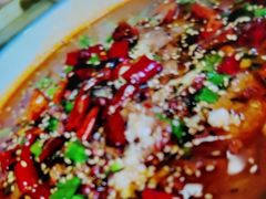 -天鹅到家·保姆月嫂育儿嫂(总店)