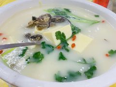 鳝骨豆腐芫茜汤-阿四台山黄鳝饭(东门店)