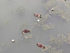 -南宁南湖公园