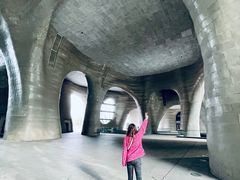 -证大喜玛拉雅中心