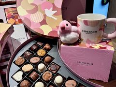 -Laderach 莱德拉(上海环贸iapm店)