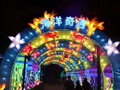 -欢乐海岸椰林沙滩-2025湾区超级灯会