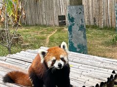 -泉州海丝野生动物世界