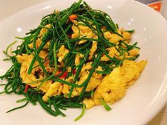 -新疆兵团食府清真(马连道店)