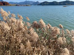-青山湖景区