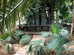 -呀路古热带植物园