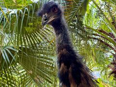 -灵玲国际马戏城