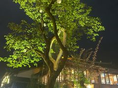 -木王宴语·野生鲜菌火锅(玉河店)