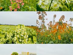 -中国天府农业博览园