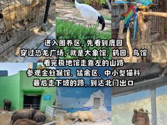 -大连森林动物园