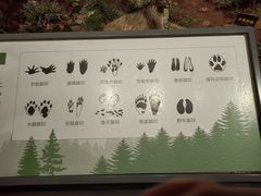 -陕西自然博物馆