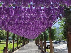 -秀水家园农家院住宿团建(石林峡店)