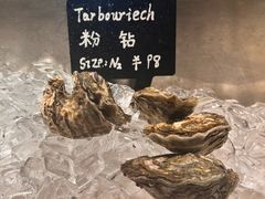 -Oyster Talks 四度蚝法餐厅