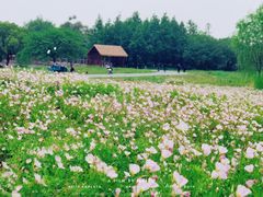 -良渚古城遗址公园