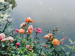 -郭庄景区