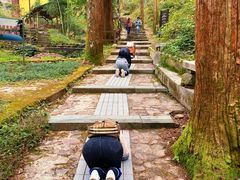 -东天目山风景区