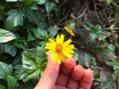 -喜茶(佛山南海万科广场店)