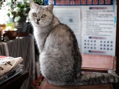 -不舍昼夜咖啡馆