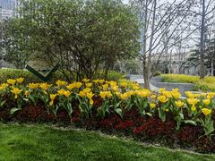 -北外滩滨江绿地