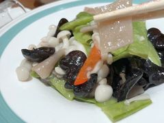 -东来菜馆•手抓海鲜家常菜•海鲜锅贴(鸽子窝店)