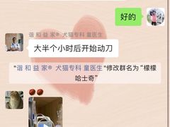 -谐和益家动物医院·免疫绝育·血液透析·宠保定点医院(高新伊藤分院)