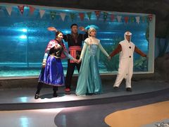 -绍兴梦享海洋公园