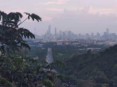 -火炉山森林公园