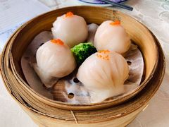 虾饺-纳福苑(亮庆餐饮分店)
