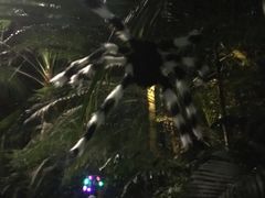 -龙达温泉生态城