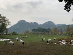 -星湖旅游景区七星岩