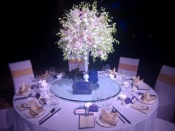 -M'S BANQUET AND SPACE ART