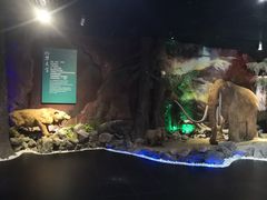 -抚顺煤矿博物馆