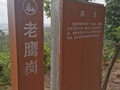 -滴水岩森林公园