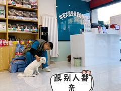 -中农大我爱我爱动物医院·核磁CT·猫病·24小时夜诊中心(石佛营店)