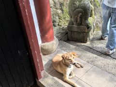 -大慈岩风景区