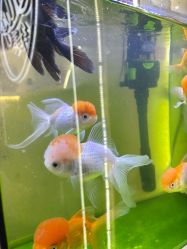 -Lily纤美·科技减脂中心