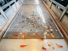 -四季民福烤鸭店(前门店)