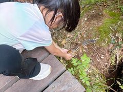 -五营红松林海景区