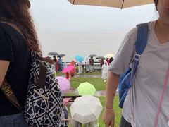 -观潮胜地公园