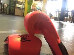 -天行健身＆天行拳馆跆拳道·格斗TXGYM