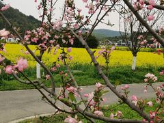 -南北湖风景区